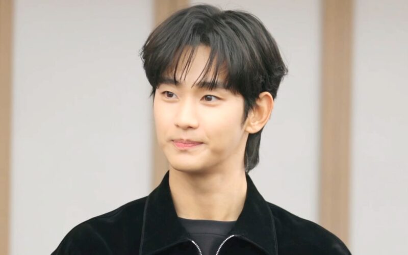 kim soo hyun tv shows