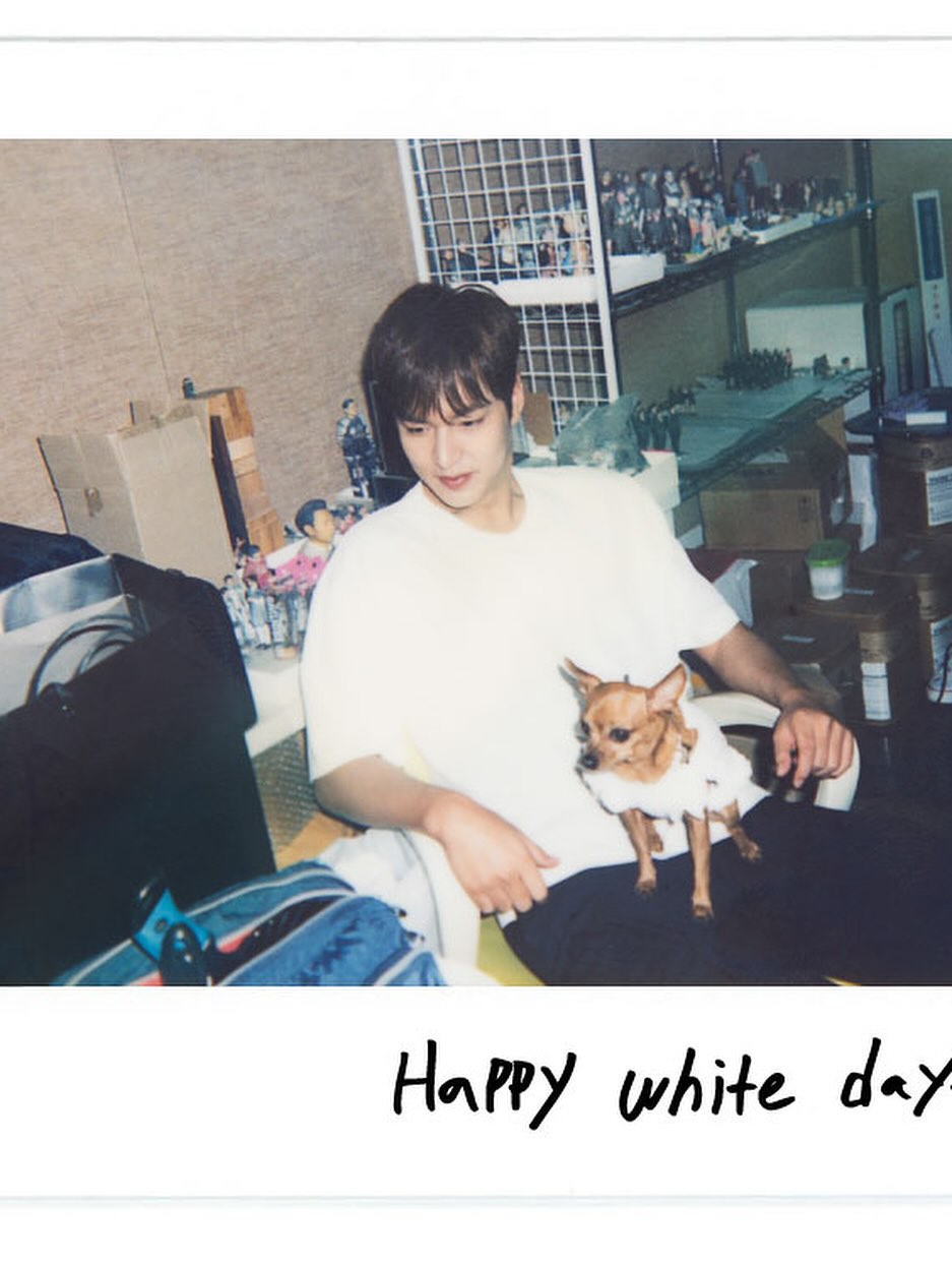 lee min ho pet choco
