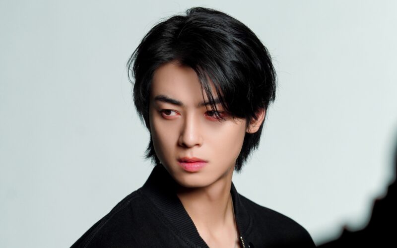 cha eun woo tax evasion