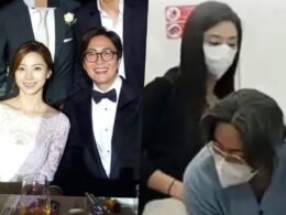 bae yong joon park su jin